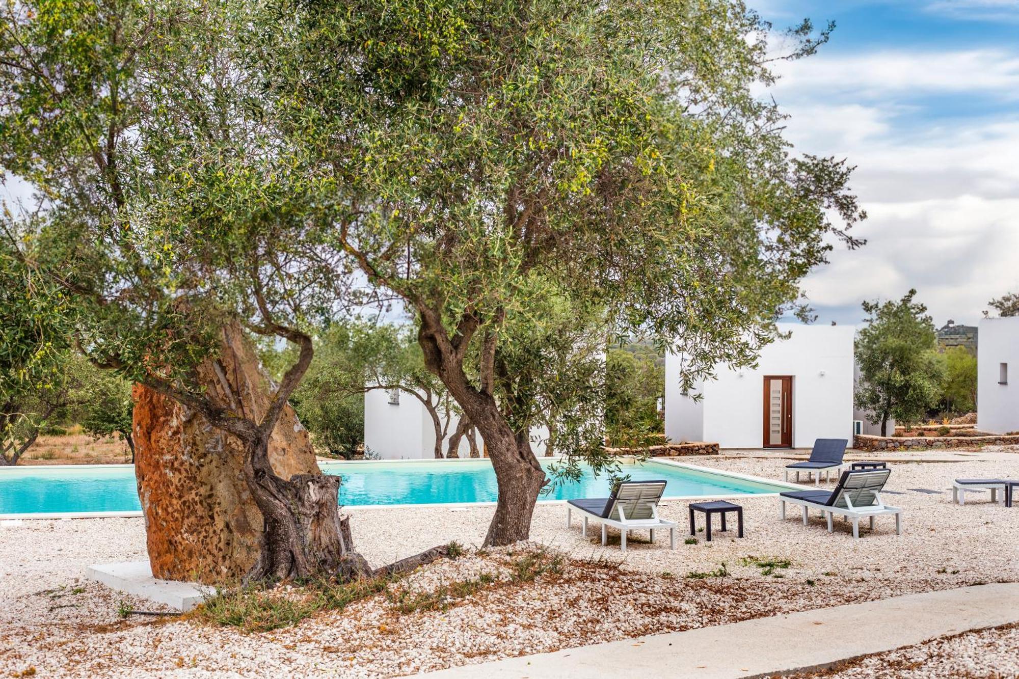 Farmhouse La Croisette - Agriturismo 多尔加利 外观 照片