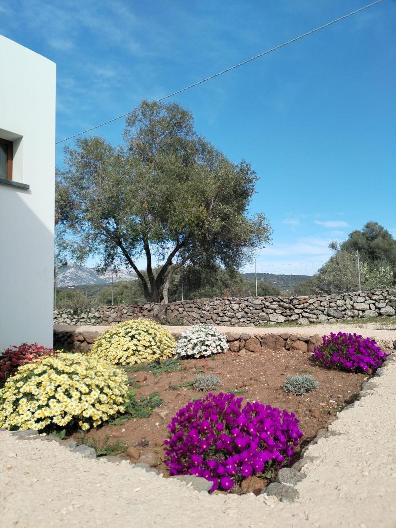 Farmhouse La Croisette - Agriturismo 多尔加利 外观 照片