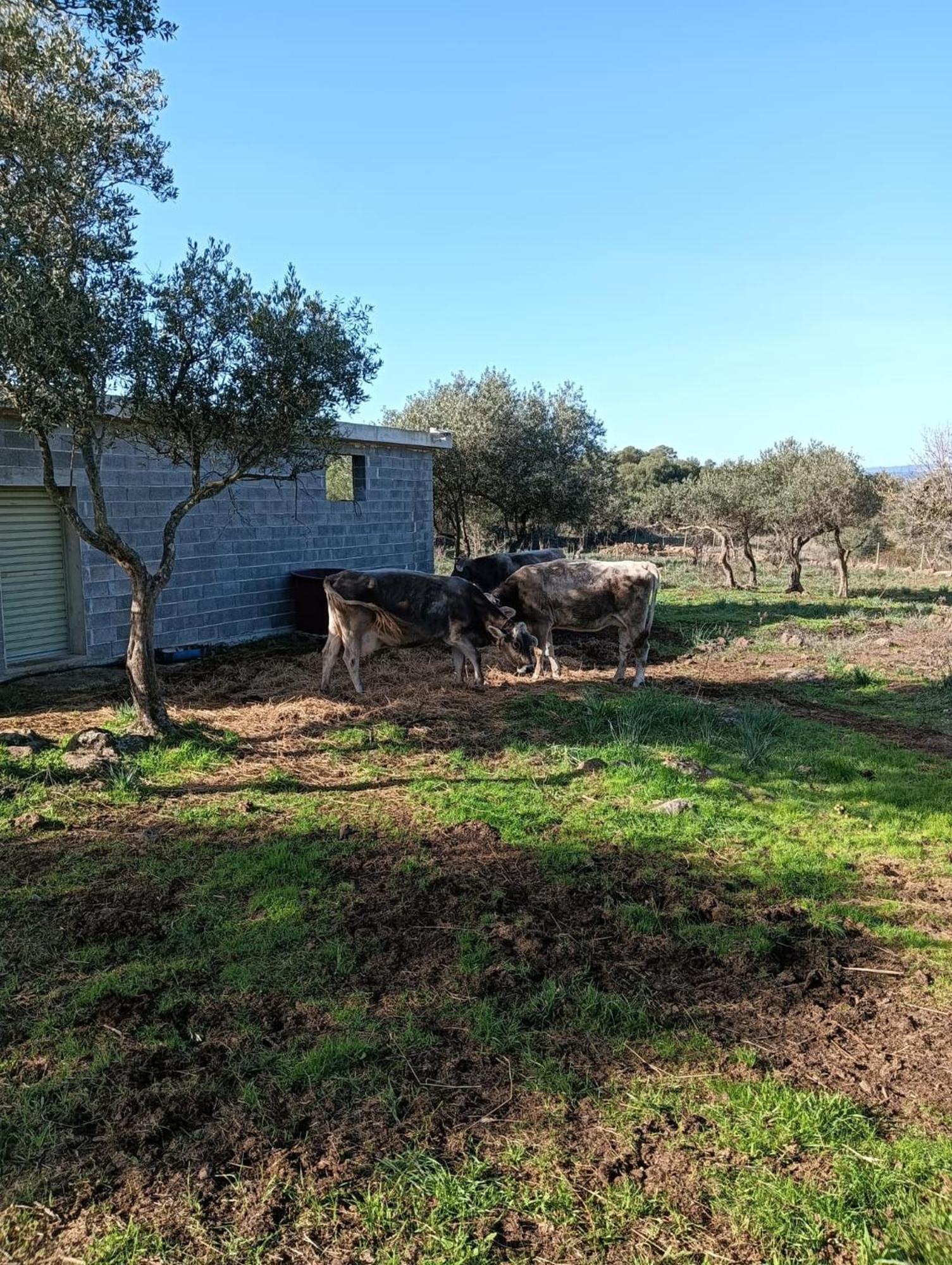 Farmhouse La Croisette - Agriturismo 多尔加利 外观 照片